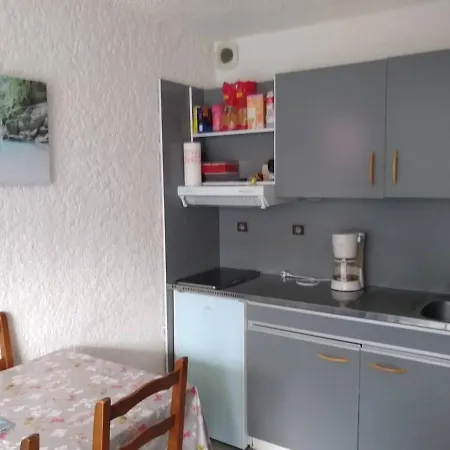 T1 Bis Avec Terrasse, Parking Et Local A Skis - 2 Chemin Du Lisey, - Fr-1-234-272 Apartment